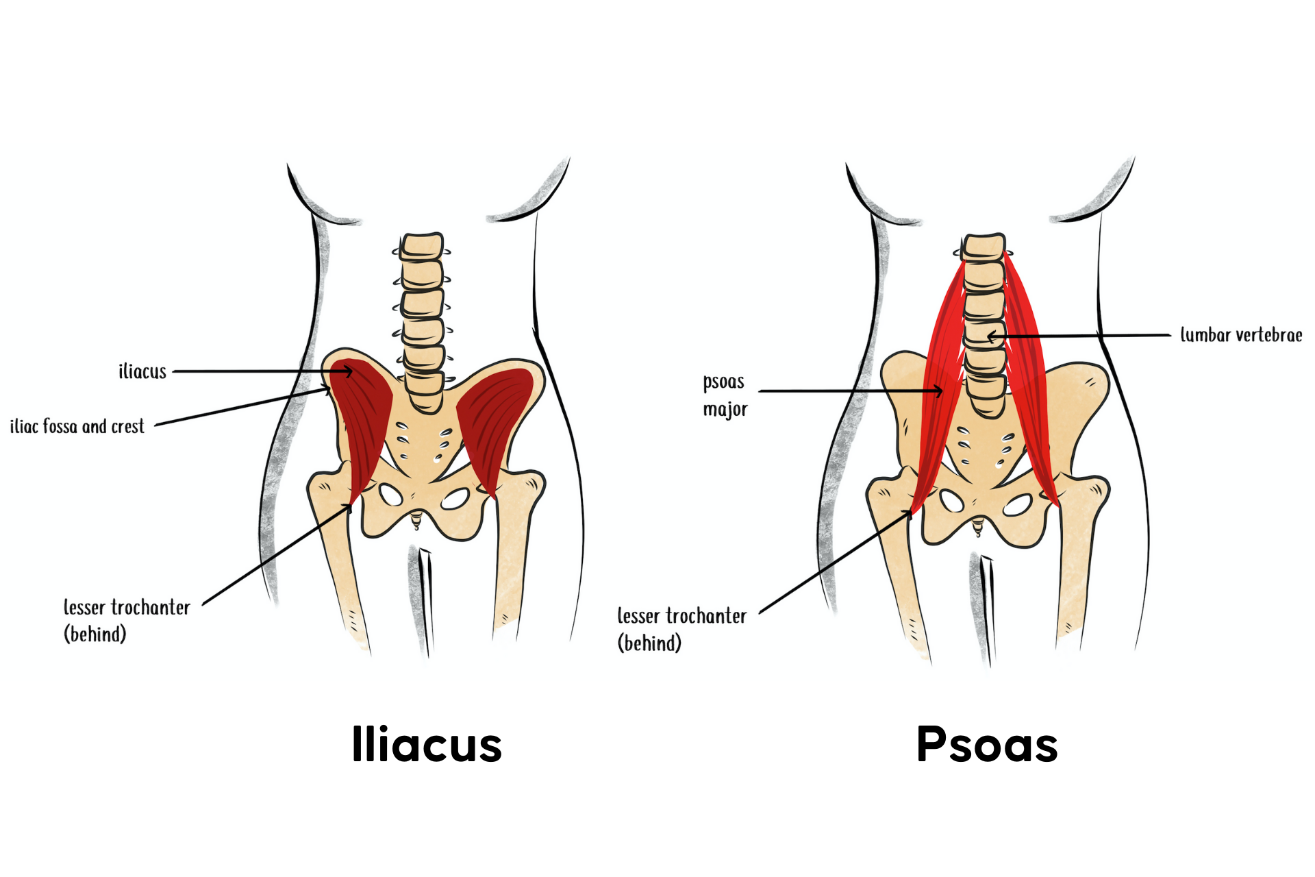 Twisted Pelvis Self Correction How to Fix Pelvic Tilt